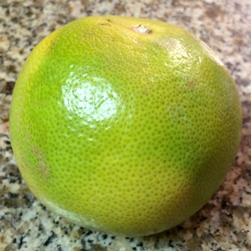 Pomelo, aka pumelo or pummelo is a citrus fruit