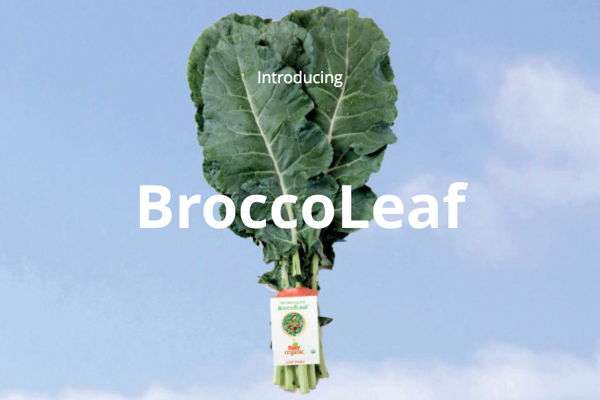 Broccoli leaves