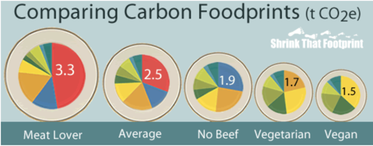 Comparing Carbon Footprint - Graphics Types of Diet