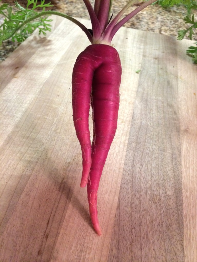 Ugly carrot