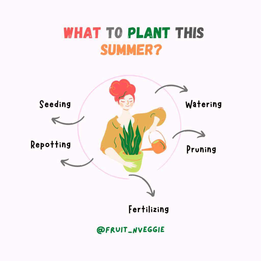 What to plant in June?